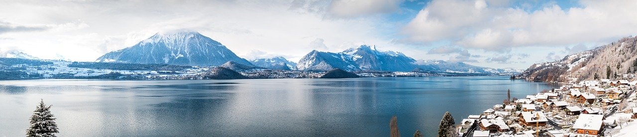Fastighetsmäklare i Schweiz