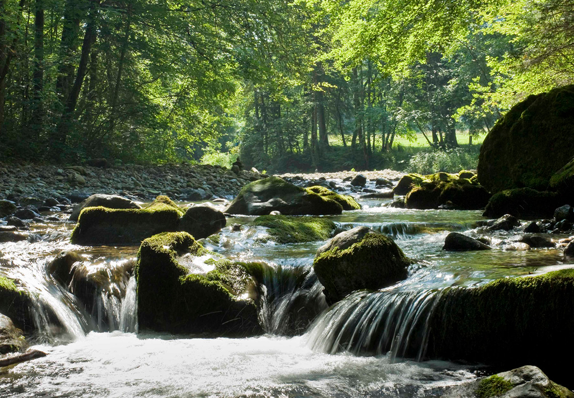 Vastgoed Aargau