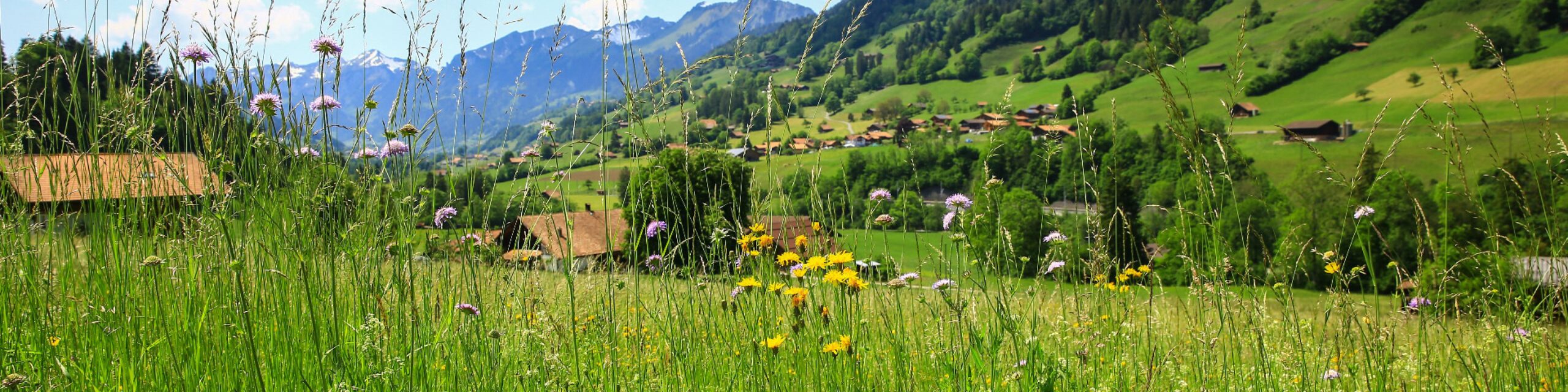 Vastgoed Erlenbach Im Simmertal